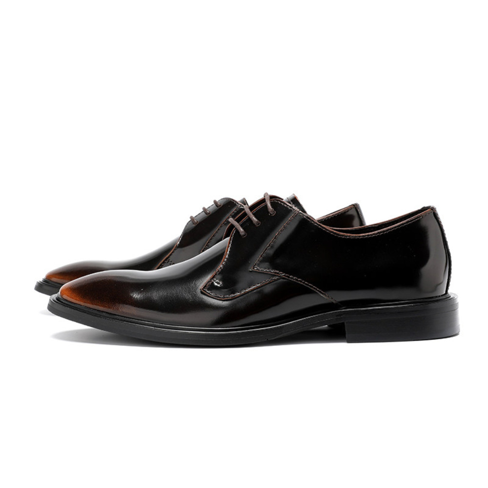 Chaussures habillées en cuir v - Leather Shoe Polish avis et prix